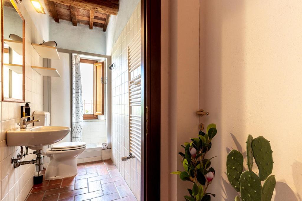 Massa Alta B&B E Appartamenti Massa Marittima Luaran gambar